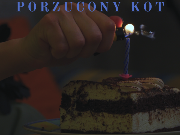 Film „Porzucony kot” – reż. Cezary Mańturzyk i Alicja Wierzchowska