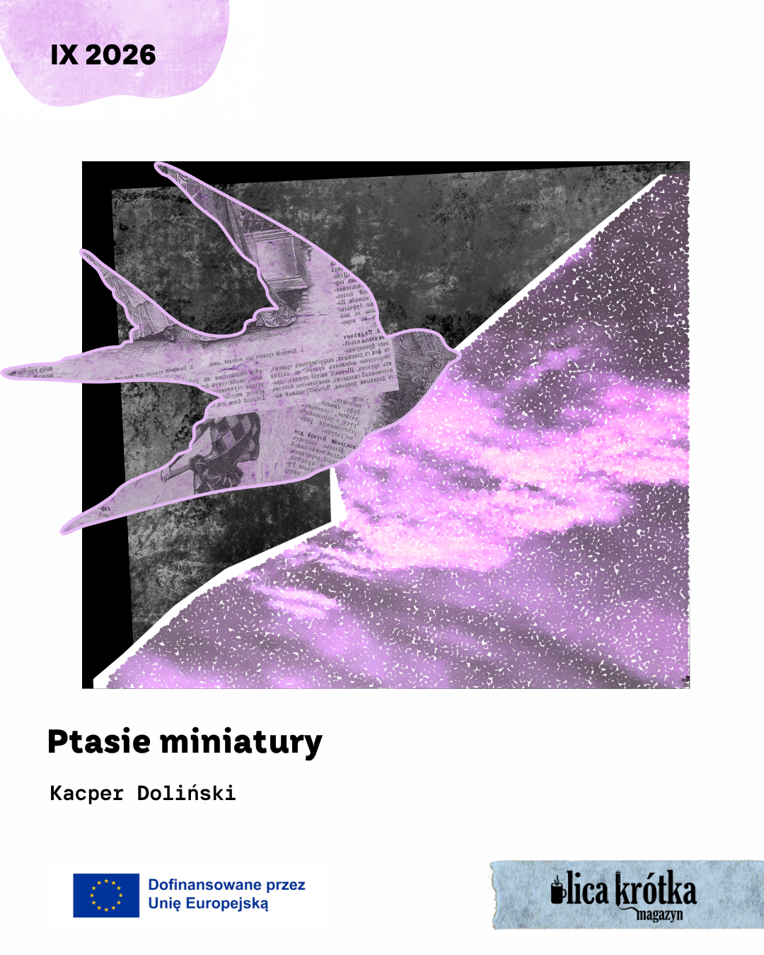 Ptasie miniatury – Kacper Doliński